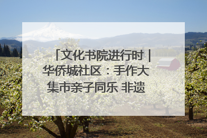 文化书院进行时｜华侨城社区：手作大集市亲子同乐 非遗传承暖邻心