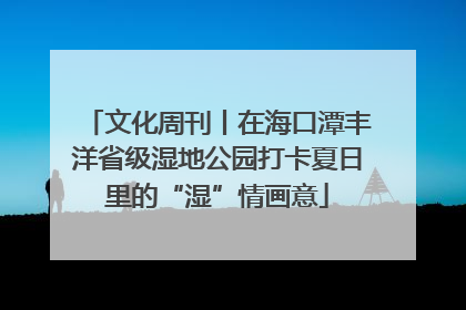 文化周刊丨在海口潭丰洋省级湿地公园打卡夏日里的“湿”情画意