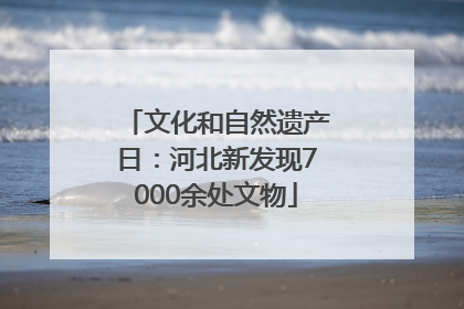 文化和自然遗产日：河北新发现7000余处文物