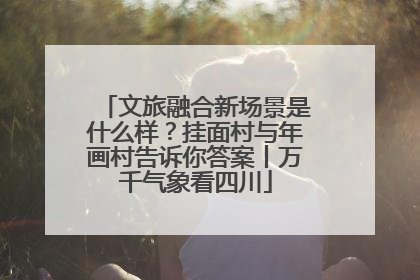 文旅融合新场景是什么样？挂面村与年画村告诉你答案丨万千气象看四川