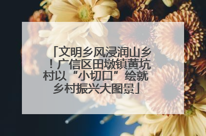 文明乡风浸润山乡！广信区田墩镇黄坑村以“小切口”绘就乡村振兴大图景