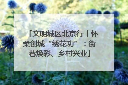 文明城区北京行丨怀柔创城“绣花功”：街巷焕彩、乡村兴业