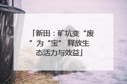 新田：矿坑变“废”为“宝” 释放生态活力与效益
