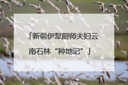 新疆伊犁厨师夫妇云南石林“种地记”