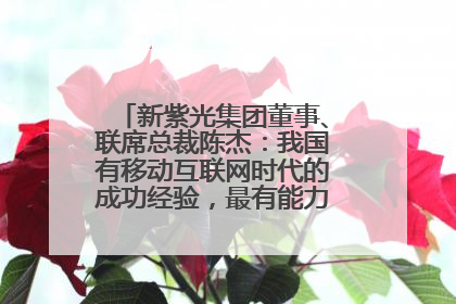 新紫光集团董事、联席总裁陈杰：我国有移动互联网时代的成功经验，最有能力做好AI应用创新