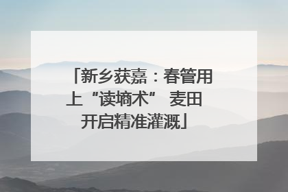 新乡获嘉：春管用上“读墒术” 麦田开启精准灌溉