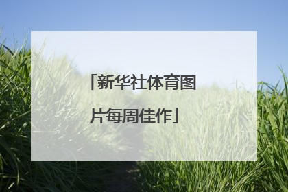 新华社体育图片每周佳作