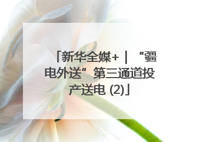 新华全媒+｜“疆电外送”第三通道投产送电 (2)