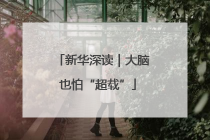 新华深读｜大脑也怕“超载”