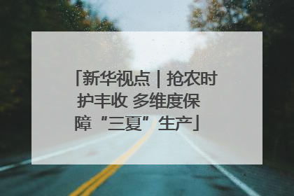 新华视点｜抢农时 护丰收 多维度保障“三夏”生产