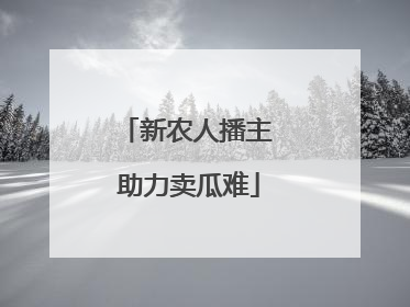 新农人播主 助力卖瓜难