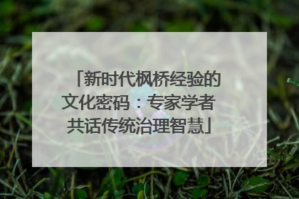 新时代枫桥经验的文化密码：专家学者共话传统治理智慧
