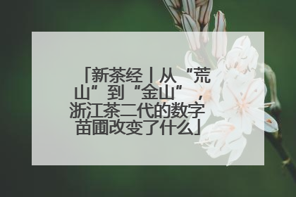 新茶经丨从“荒山”到“金山”，浙江茶二代的数字苗圃改变了什么