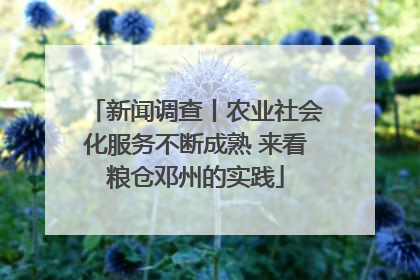 新闻调查丨农业社会化服务不断成熟 来看粮仓邓州的实践