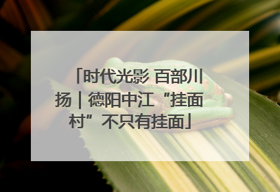 时代光影 百部川扬｜德阳中江“挂面村”不只有挂面