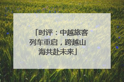 时评：中越旅客列车重启，跨越山海共赴未来