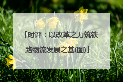 时评：以改革之力筑铁路物流发展之基(图)