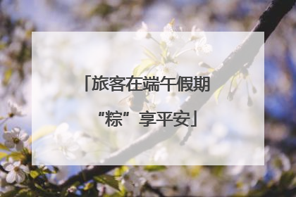 旅客在端午假期“粽”享平安