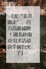 无“非升即走”、百万高薪诚聘！湖北赴南京引才活动这个展台火了