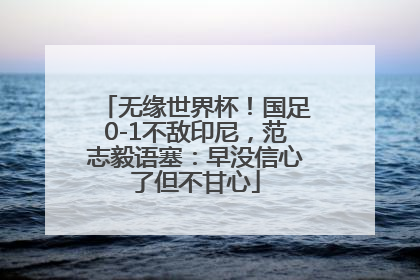 无缘世界杯！国足0-1不敌印尼，范志毅语塞：早没信心了但不甘心