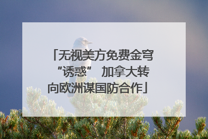 无视美方免费金穹“诱惑” 加拿大转向欧洲谋国防合作