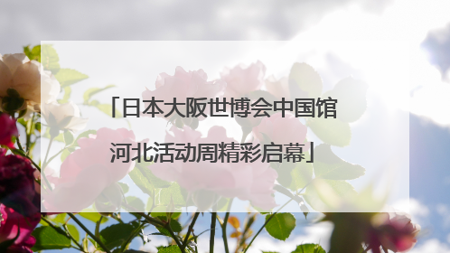 日本大阪世博会中国馆河北活动周精彩启幕