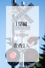 旱碱麦香