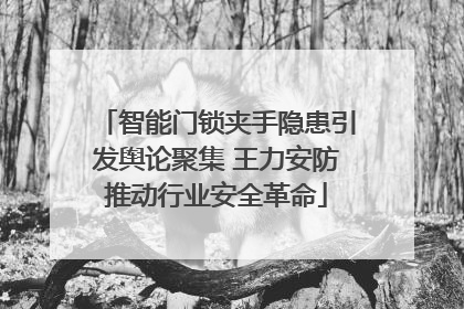 智能门锁夹手隐患引发舆论聚集 王力安防推动行业安全革命