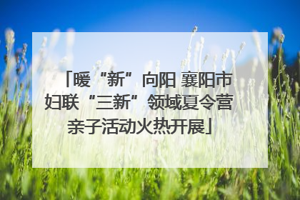 暖“新”向阳 襄阳市妇联“三新”领域夏令营亲子活动火热开展