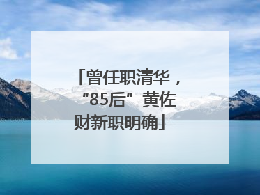 曾任职清华，“85后”黄佐财新职明确