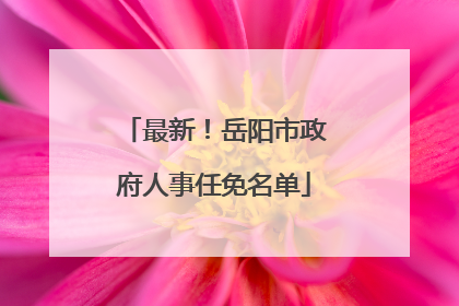 最新！岳阳市政府人事任免名单