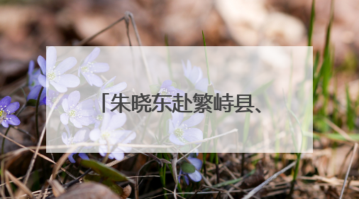 朱晓东赴繁峙县、定襄县调研河湖长制、林长制落实及防汛备汛等工作