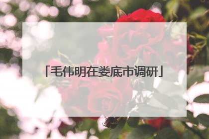 毛伟明在娄底市调研