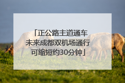 正公路主道通车 未来成都双机场通行可缩短约30分钟