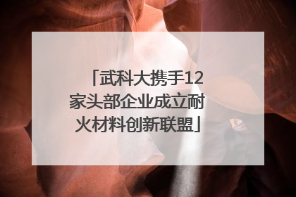武科大携手12家头部企业成立耐火材料创新联盟