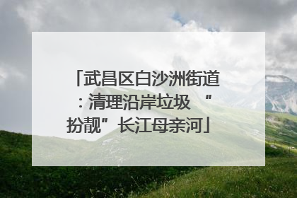 武昌区白沙洲街道：清理沿岸垃圾 “扮靓”长江母亲河