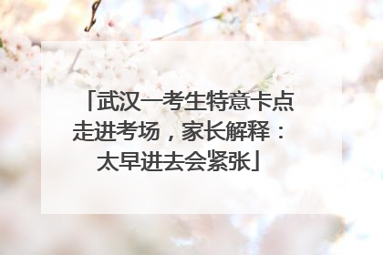 武汉一考生特意卡点走进考场，家长解释：太早进去会紧张