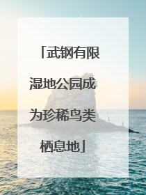 武钢有限湿地公园成为珍稀鸟类栖息地
