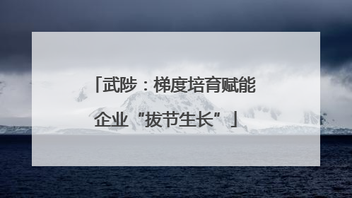 武陟：梯度培育赋能企业“拔节生长”