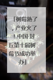 树莓熟了，产业火了！中国·封丘第十届树莓节成功举办