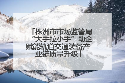 株洲市市场监管局“大手拉小手”助企赋能轨道交通装备产业链质量升级