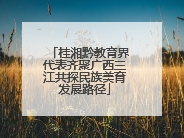桂湘黔教育界代表齐聚广西三江共探民族美育发展路径