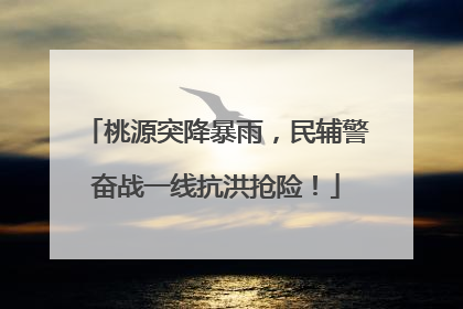 桃源突降暴雨，民辅警奋战一线抗洪抢险！
