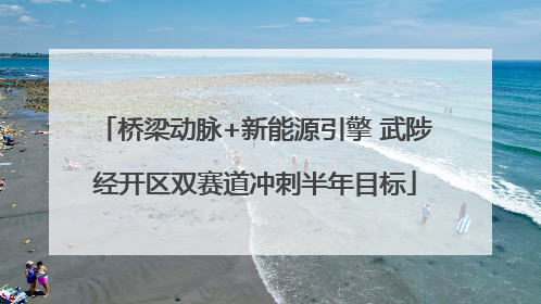 桥梁动脉+新能源引擎 武陟经开区双赛道冲刺半年目标