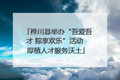 桦川县举办“吾爱吾才 粽享欢乐”活动 厚植人才服务沃土
