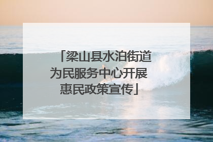 梁山县水泊街道为民服务中心开展惠民政策宣传