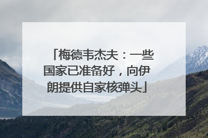 梅德韦杰夫：一些国家已准备好，向伊朗提供自家核弹头