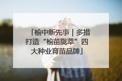 榆中新先事｜多措打造“榆苗陇萃”四大种业育苗品牌
