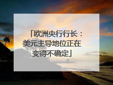 欧洲央行行长：美元主导地位正在变得不确定