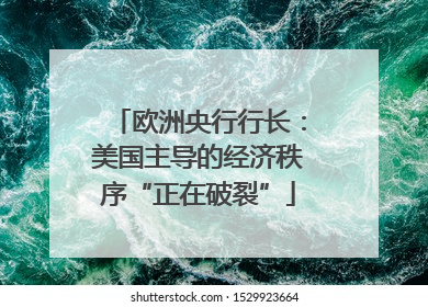 欧洲央行行长：美国主导的经济秩序“正在破裂”